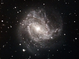 M8304302011.jpg